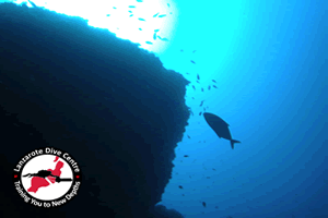 Lanzarote Dive Sites: Shrimp Cave