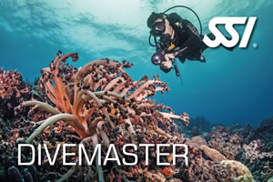 Lanzarote Dive Centre SSI Divemaster Course