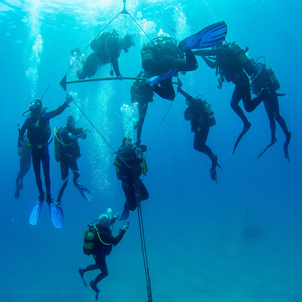 Dive the Best Dive Sites with Us