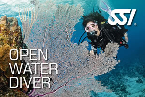 Lanzarote Dive Centre SSI Open Water Diver Course