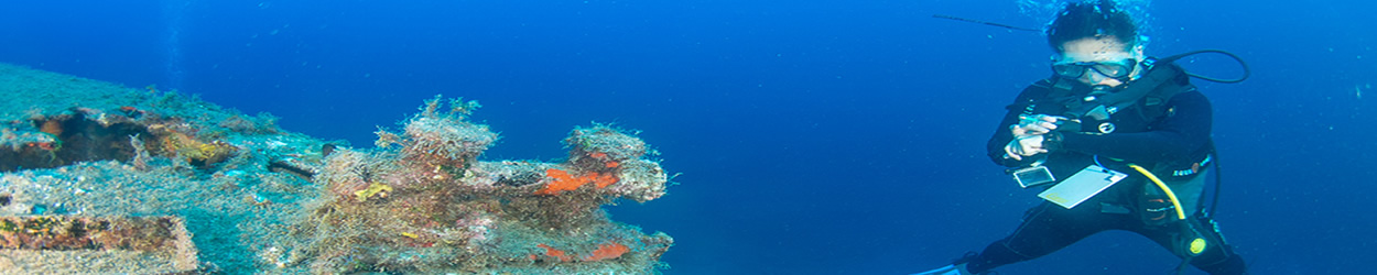 Lanzarote Dive Centre shoal of sardines at playa chica